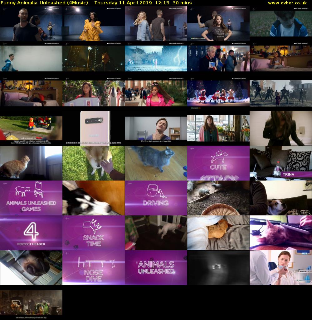 Funny Animals: Unleashed (4Music) Thursday 11 April 2019 12:15 - 12:45