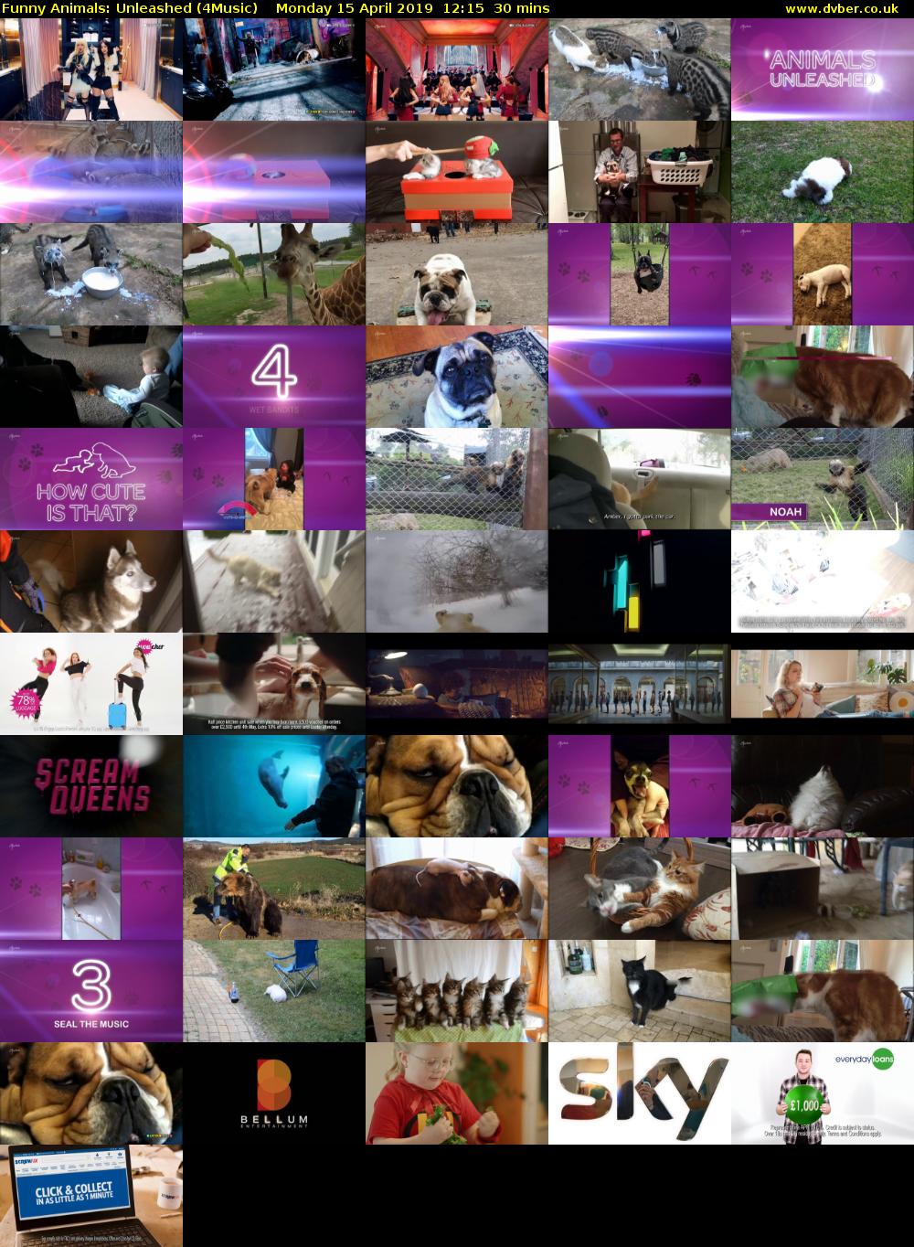 Funny Animals: Unleashed (4Music) Monday 15 April 2019 12:15 - 12:45