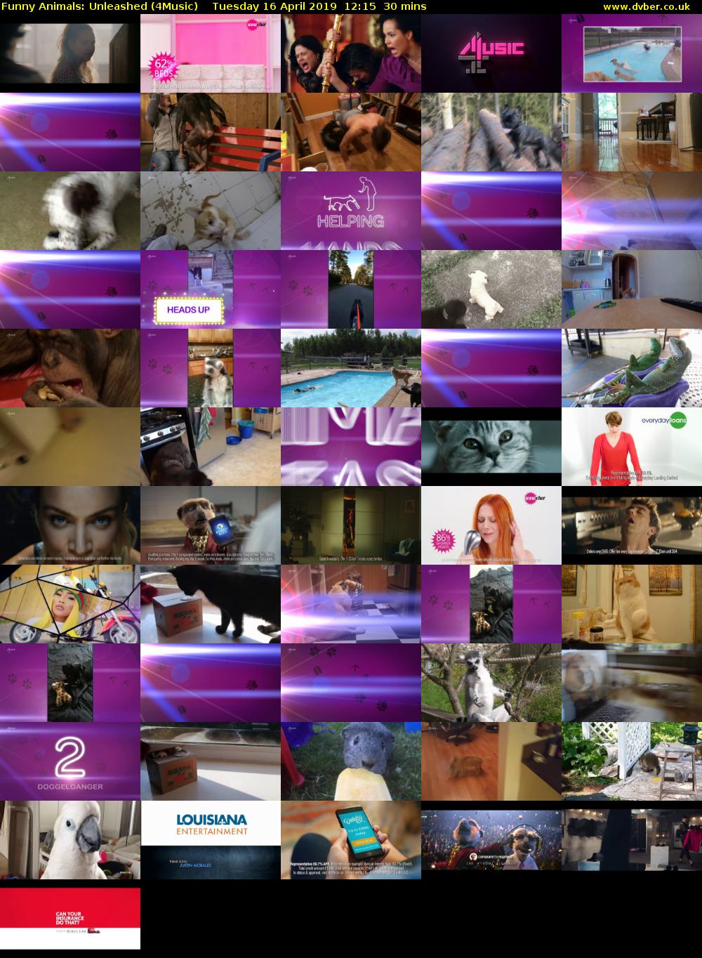 Funny Animals: Unleashed (4Music) Tuesday 16 April 2019 12:15 - 12:45