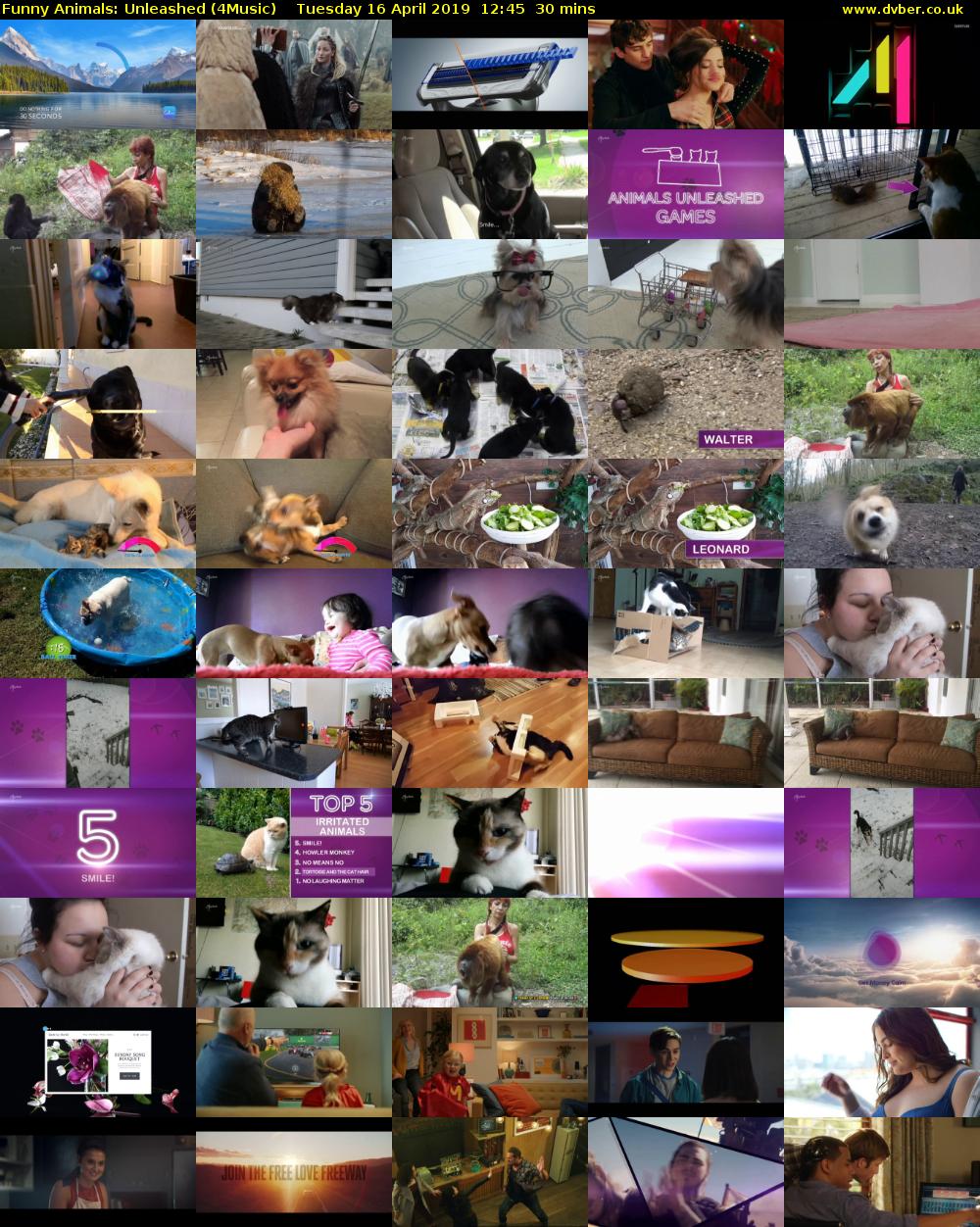 Funny Animals: Unleashed (4Music) Tuesday 16 April 2019 12:45 - 13:15