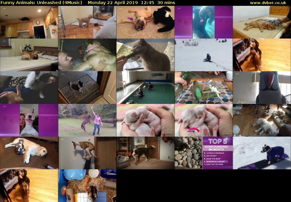 Funny Animals: Unleashed (4Music) Monday 22 April 2019 12:45 - 13:15