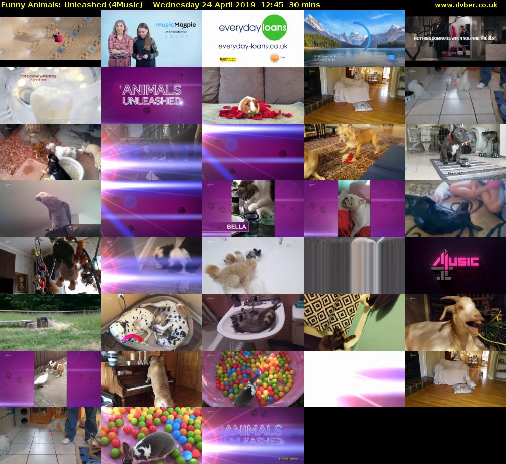 Funny Animals: Unleashed (4Music) Wednesday 24 April 2019 12:45 - 13:15