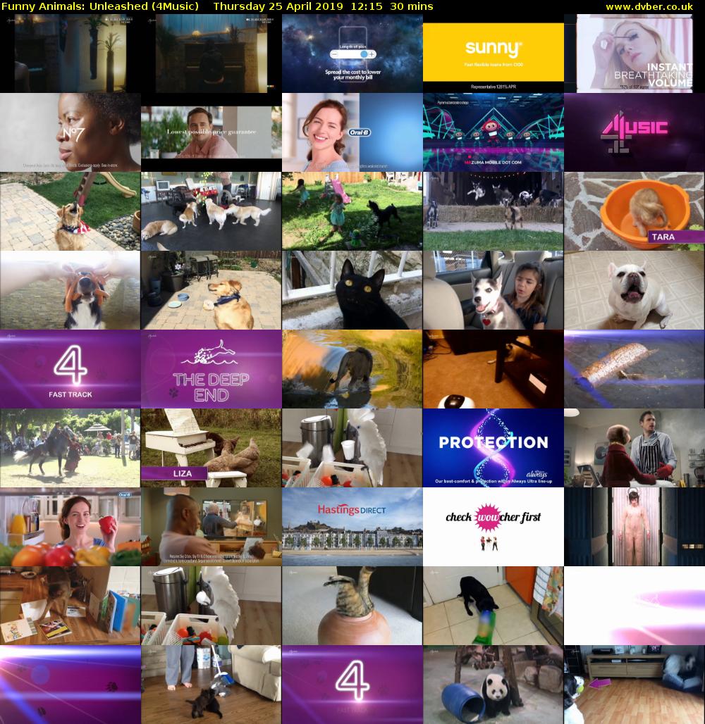 Funny Animals: Unleashed (4Music) Thursday 25 April 2019 12:15 - 12:45