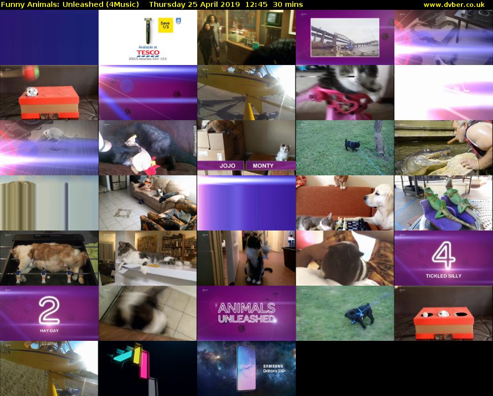Funny Animals: Unleashed (4Music) Thursday 25 April 2019 12:45 - 13:15