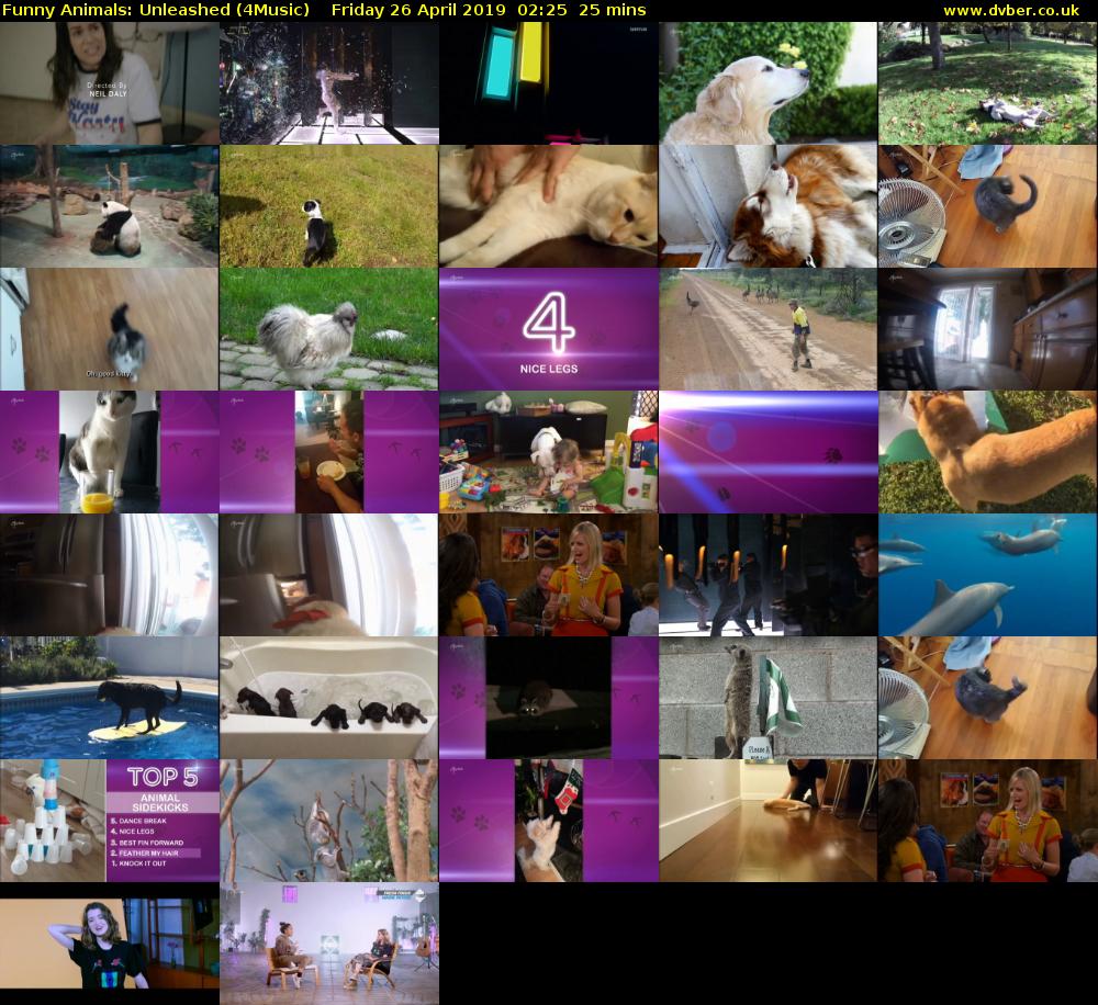 Funny Animals: Unleashed (4Music) Friday 26 April 2019 02:25 - 02:50