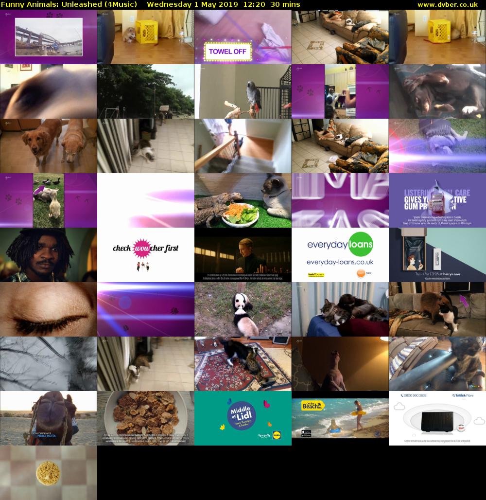 Funny Animals: Unleashed (4Music) Wednesday 1 May 2019 12:20 - 12:50