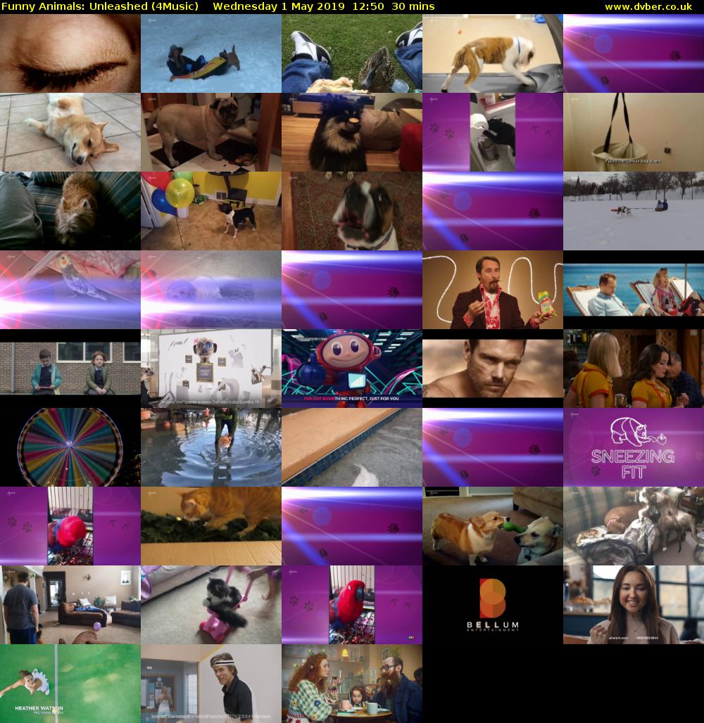 Funny Animals: Unleashed (4Music) Wednesday 1 May 2019 12:50 - 13:20