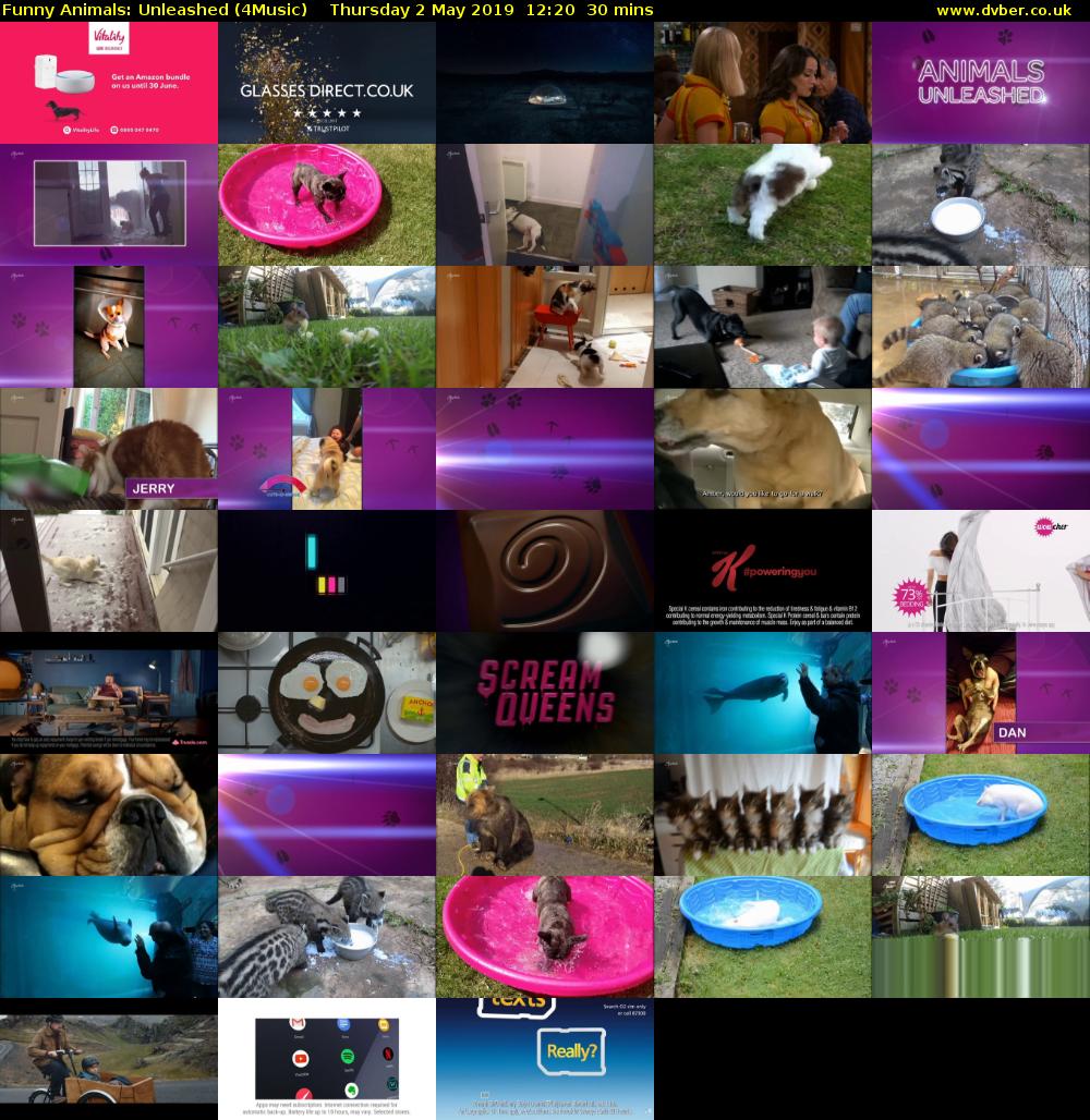 Funny Animals: Unleashed (4Music) Thursday 2 May 2019 12:20 - 12:50