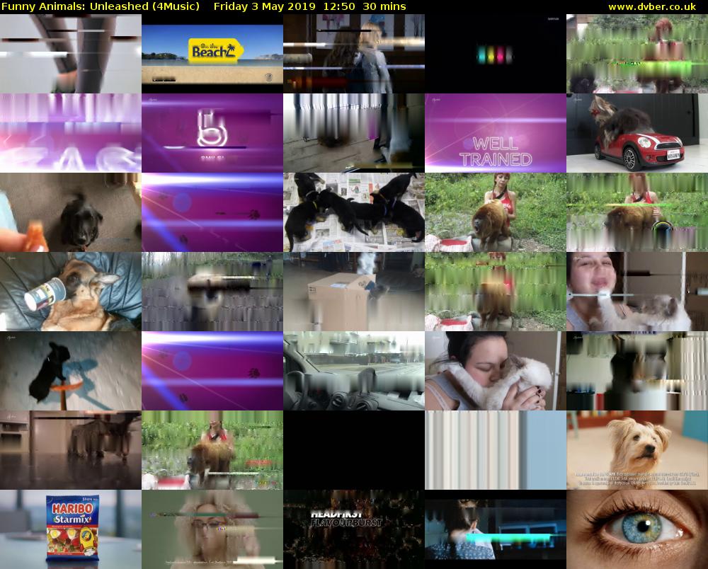 Funny Animals: Unleashed (4Music) Friday 3 May 2019 12:50 - 13:20