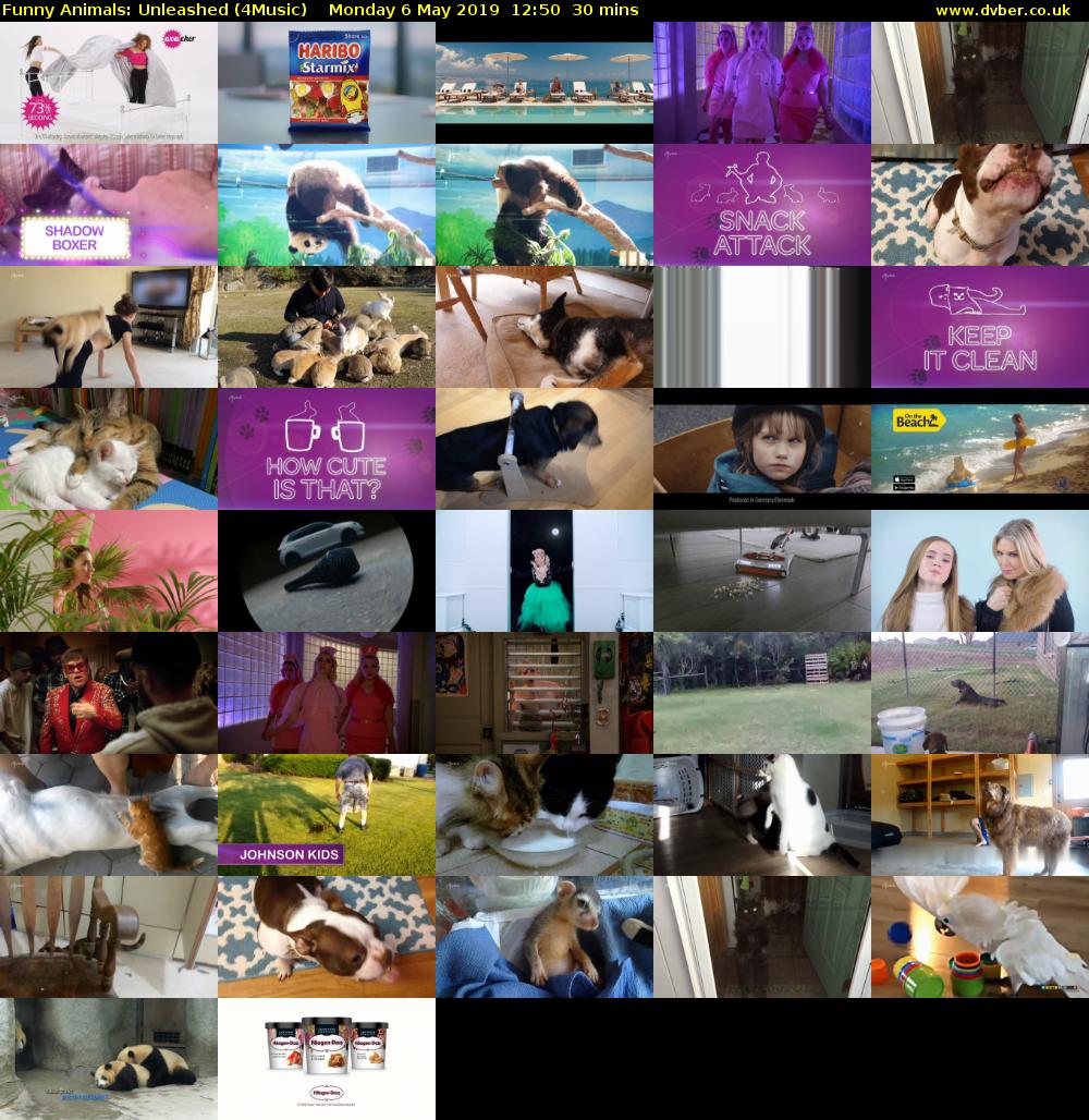 Funny Animals: Unleashed (4Music) Monday 6 May 2019 12:50 - 13:20