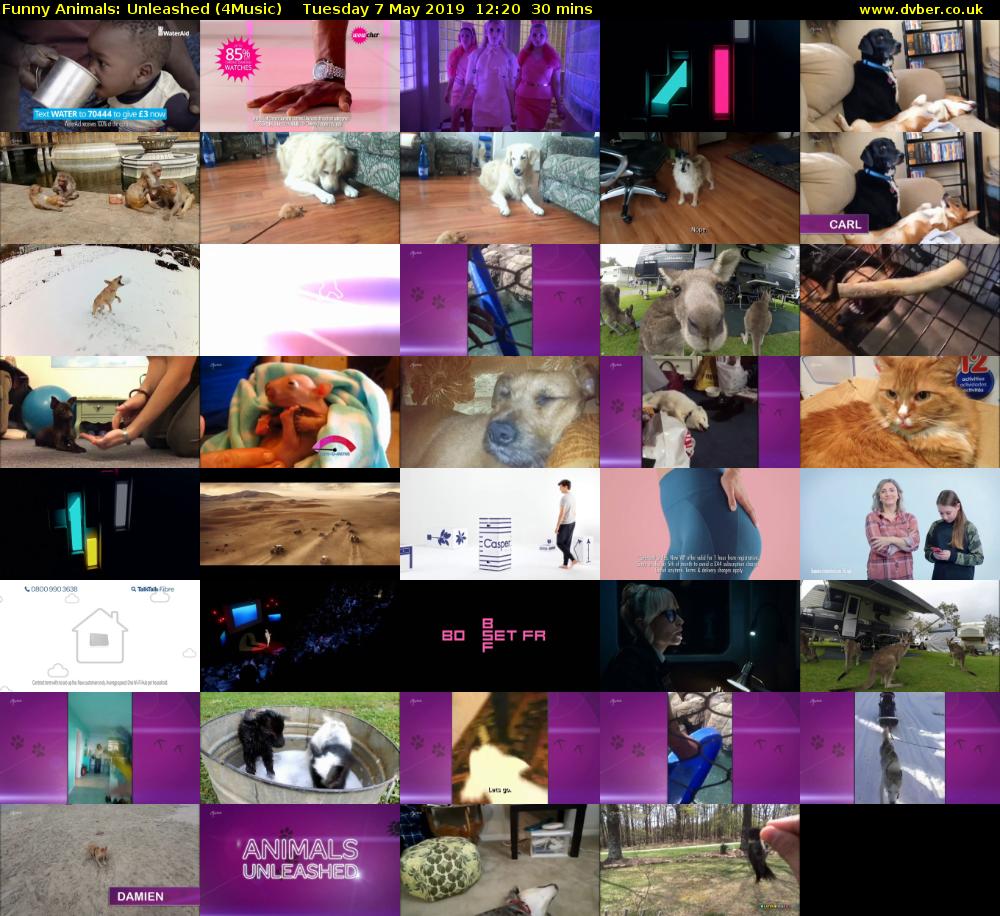 Funny Animals: Unleashed (4Music) Tuesday 7 May 2019 12:20 - 12:50