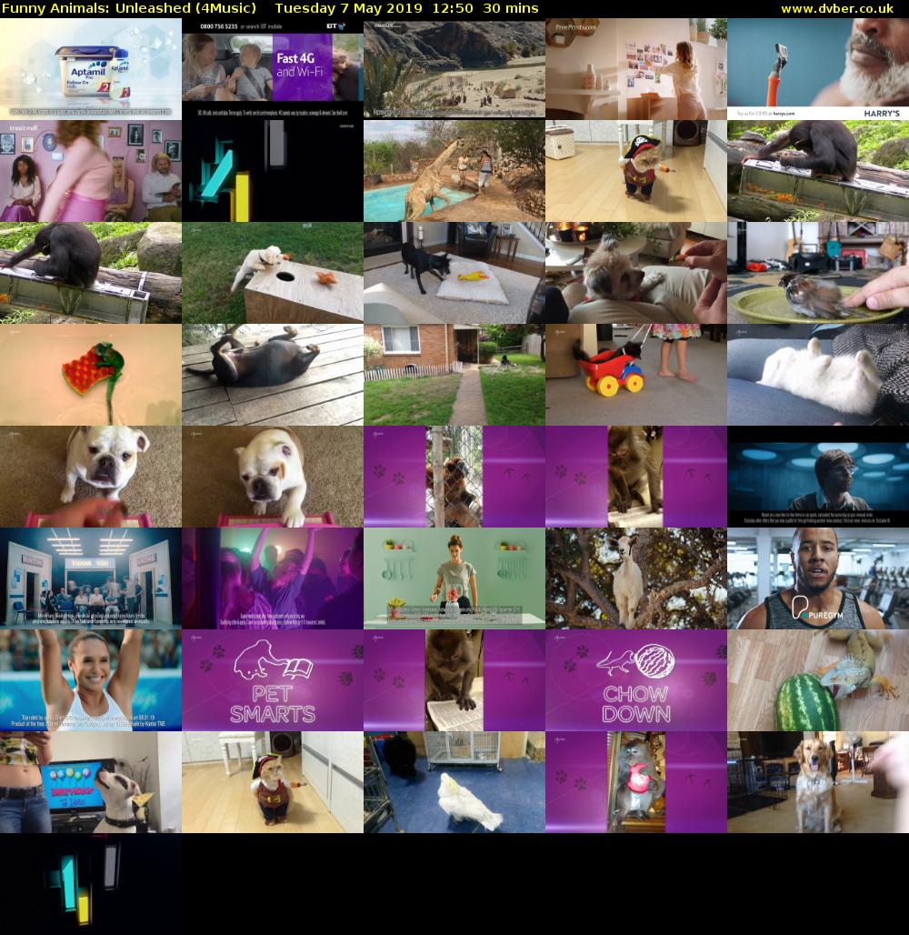 Funny Animals: Unleashed (4Music) Tuesday 7 May 2019 12:50 - 13:20