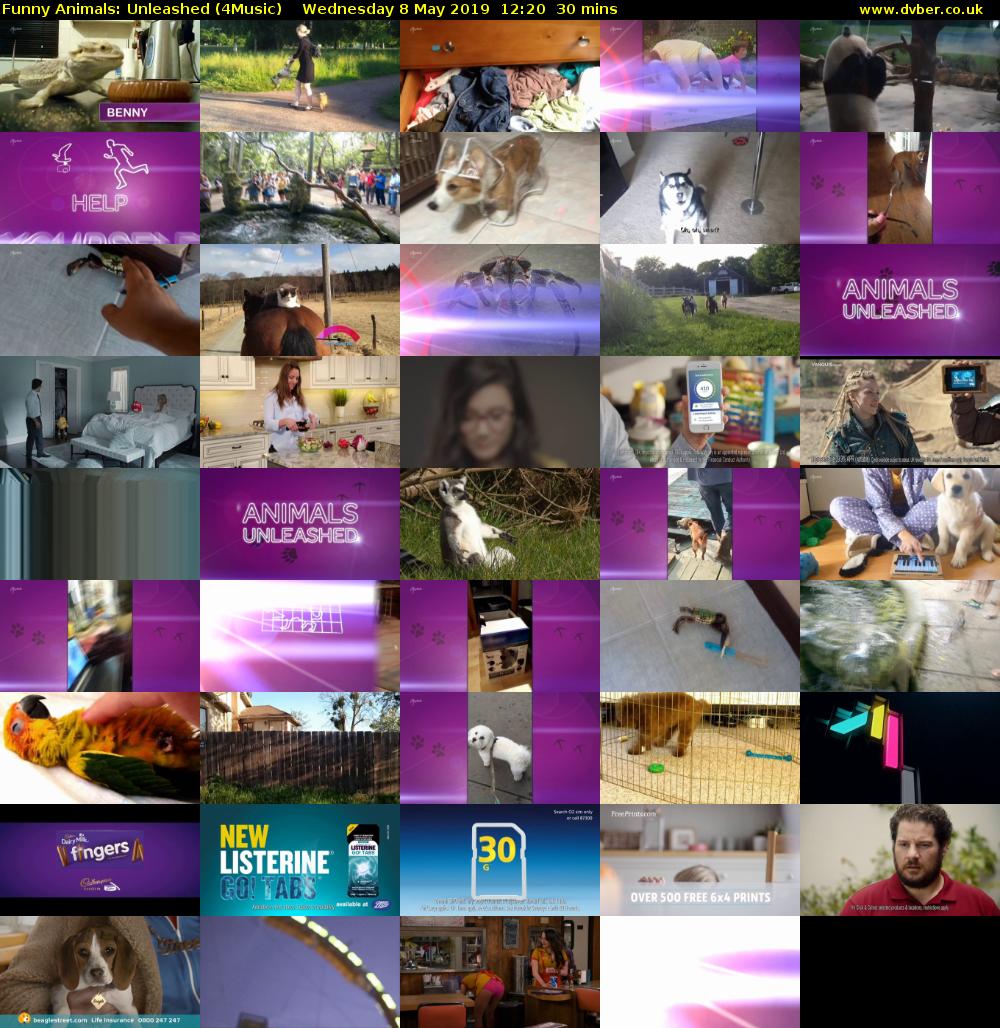 Funny Animals: Unleashed (4Music) Wednesday 8 May 2019 12:20 - 12:50