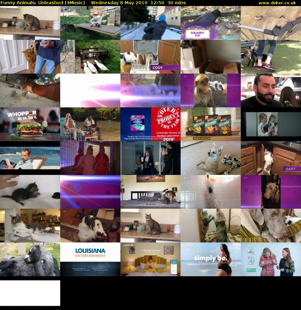 Funny Animals: Unleashed (4Music) Wednesday 8 May 2019 12:50 - 13:20