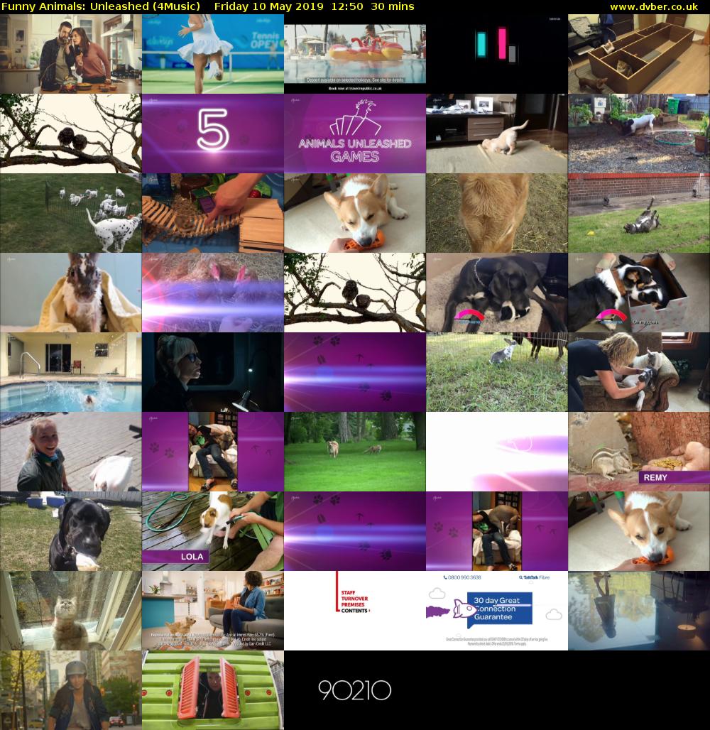 Funny Animals: Unleashed (4Music) Friday 10 May 2019 12:50 - 13:20