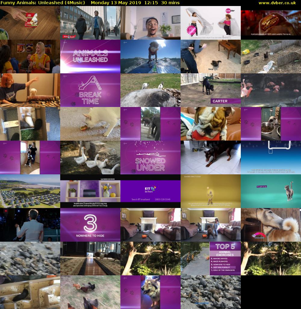 Funny Animals: Unleashed (4Music) Monday 13 May 2019 12:15 - 12:45