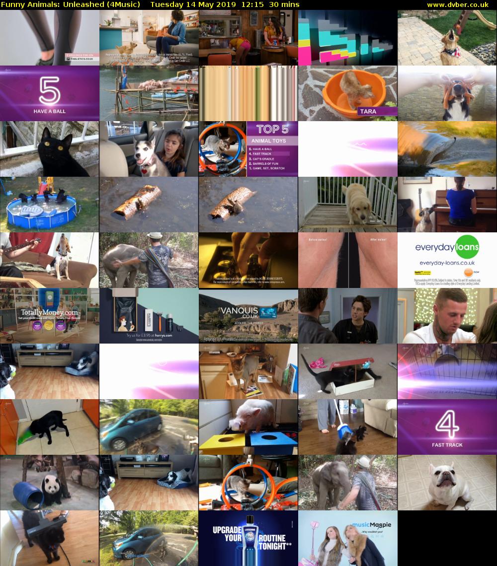 Funny Animals: Unleashed (4Music) Tuesday 14 May 2019 12:15 - 12:45