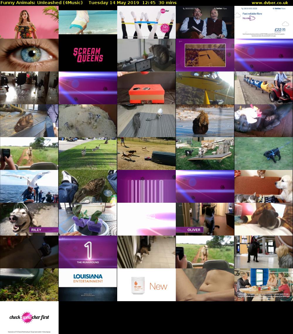 Funny Animals: Unleashed (4Music) Tuesday 14 May 2019 12:45 - 13:15