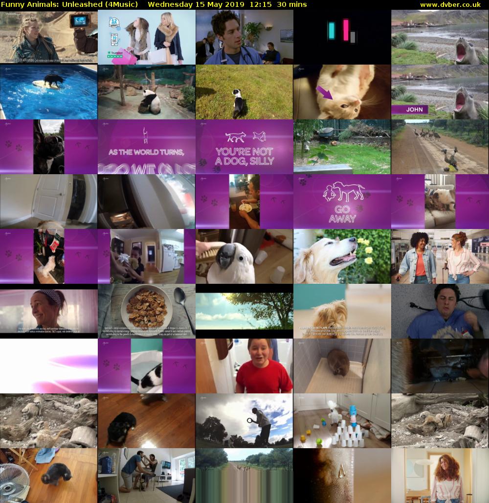 Funny Animals: Unleashed (4Music) Wednesday 15 May 2019 12:15 - 12:45
