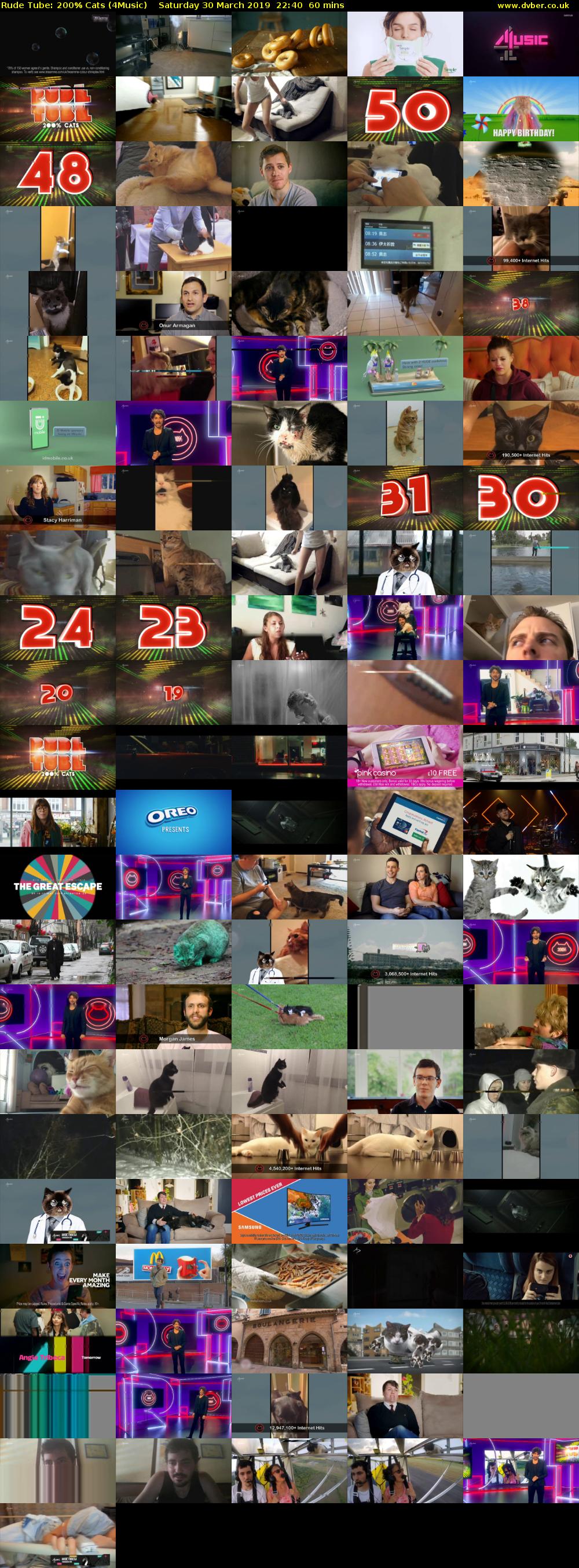 Rude Tube: 200% Cats (4Music) Saturday 30 March 2019 22:40 - 23:40