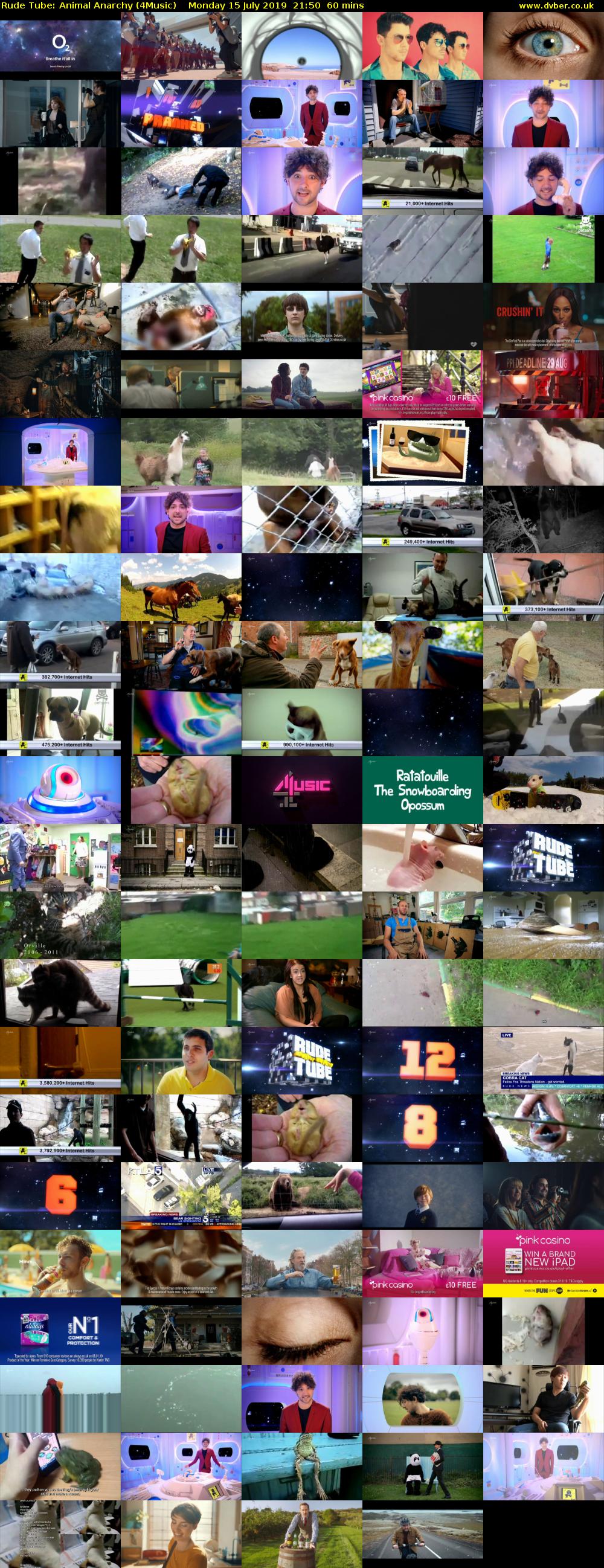 Rude Tube: Animal Anarchy (4Music) Monday 15 July 2019 21:50 - 22:50