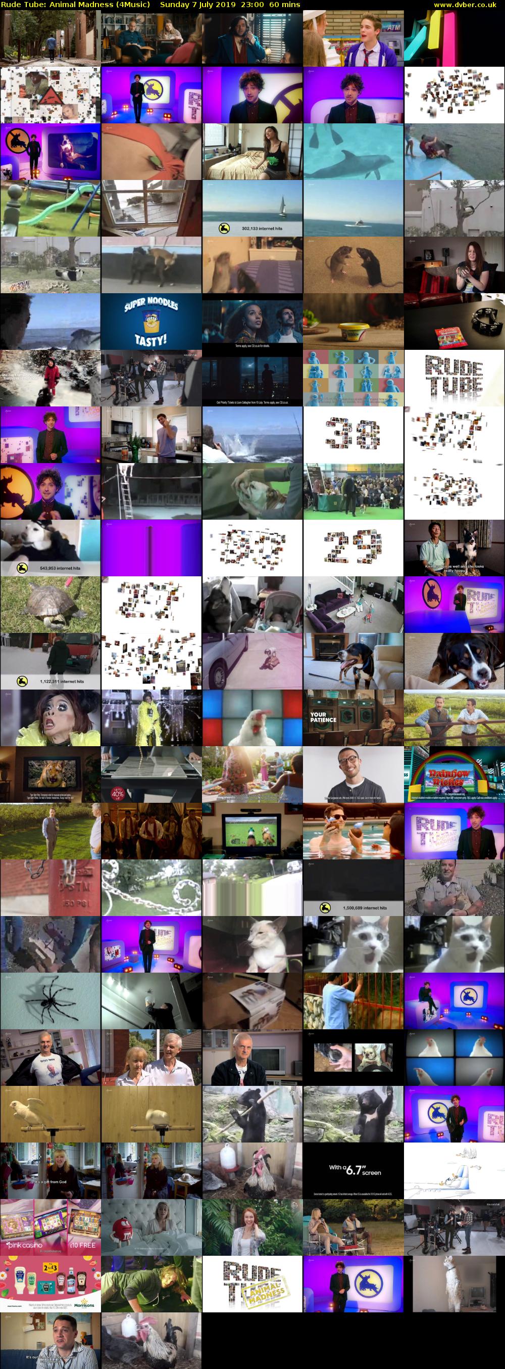 Rude Tube: Animal Madness (4Music) Sunday 7 July 2019 23:00 - 00:00