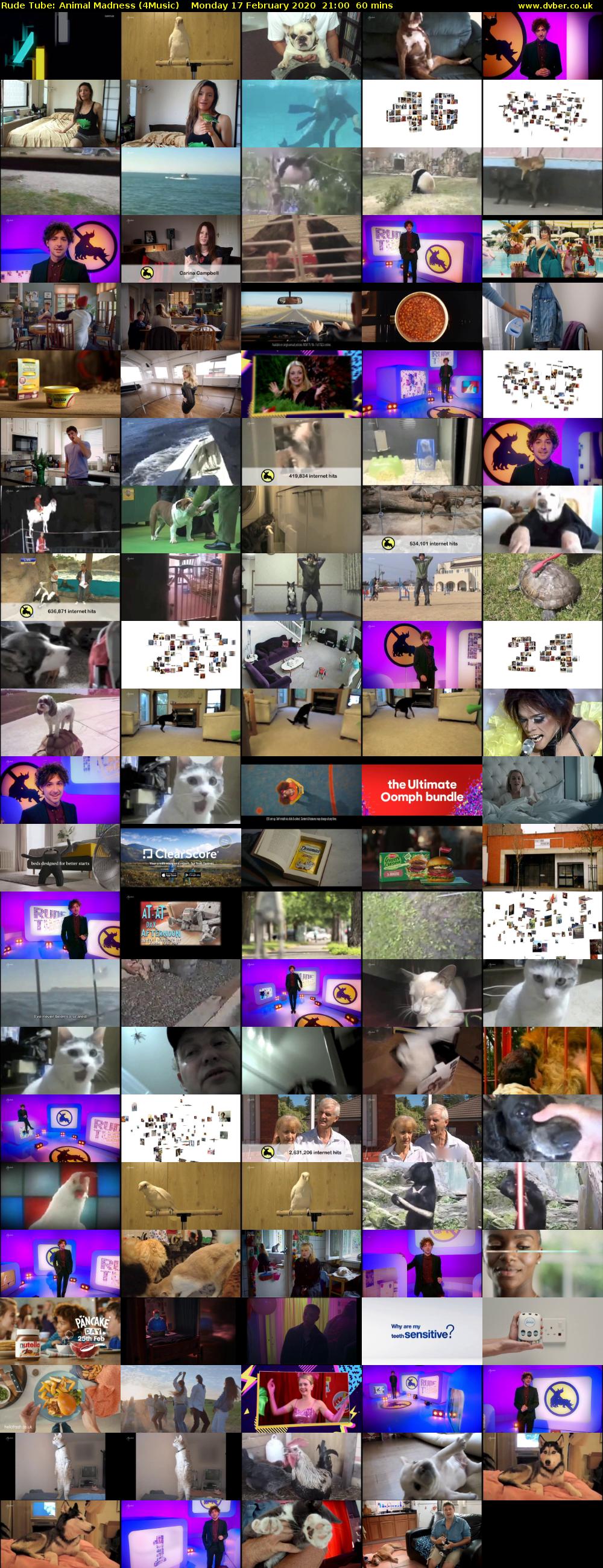 Rude Tube: Animal Madness (4Music) Monday 17 February 2020 21:00 - 22:00