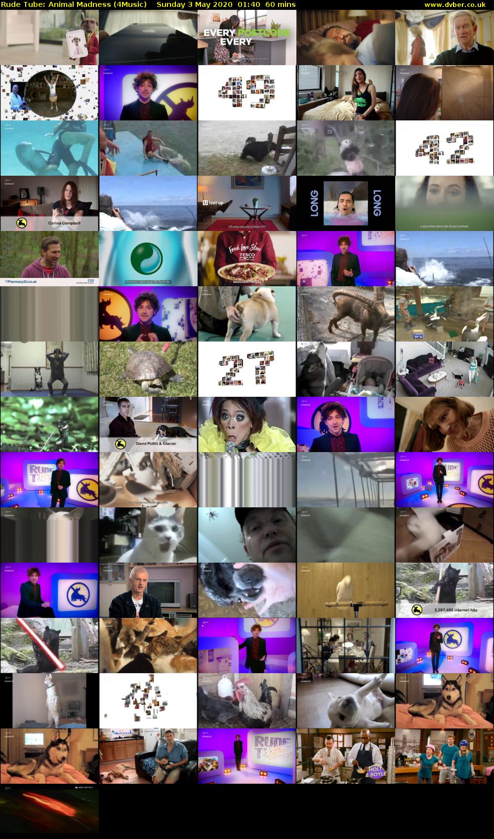 Rude Tube: Animal Madness (4Music) Sunday 3 May 2020 01:40 - 02:40