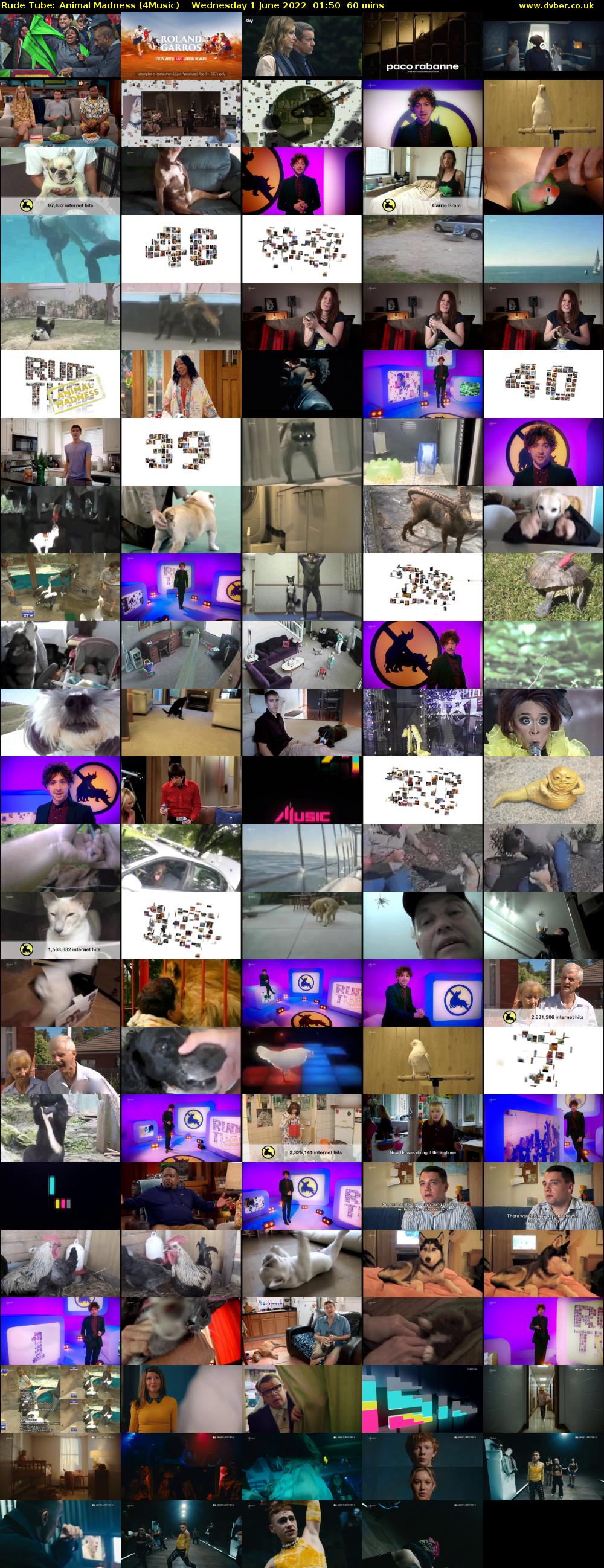 Rude Tube: Animal Madness (4Music) Wednesday 1 June 2022 01:50 - 02:50