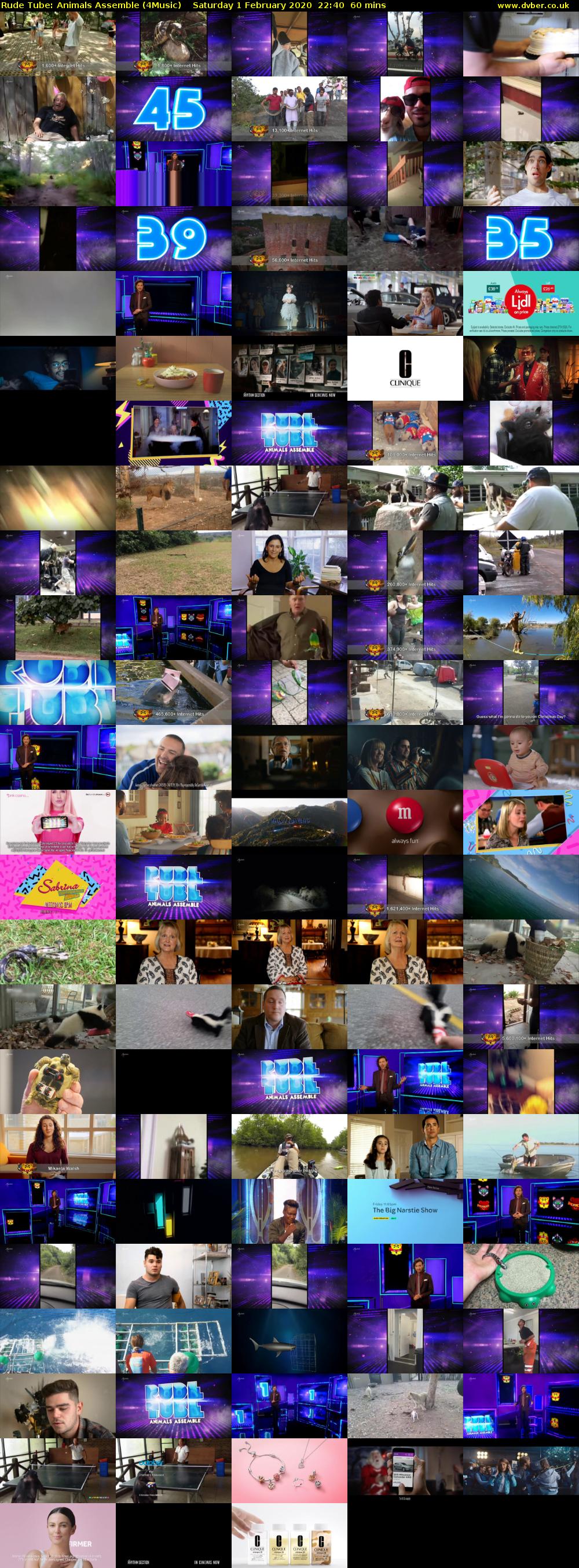 Rude Tube: Animals Assemble (4Music) Saturday 1 February 2020 22:40 - 23:40