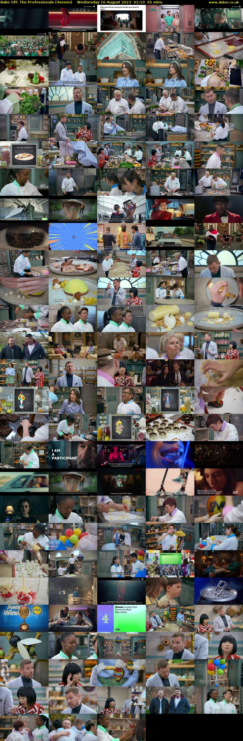 Bake Off: The Professionals (4seven) Wednesday 16 August 2023 01:10 - 02:15