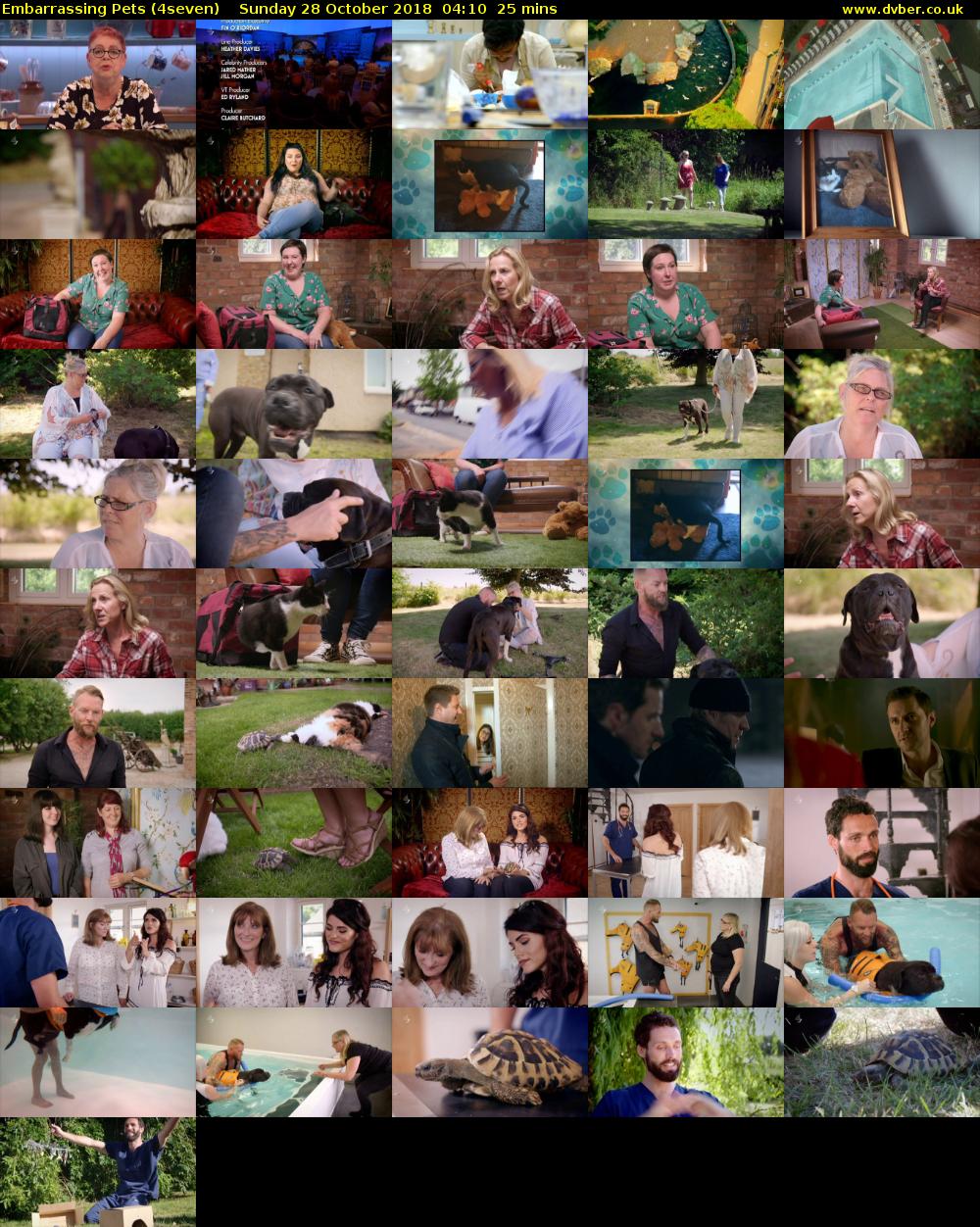 Embarrassing Pets (4seven) Sunday 28 October 2018 04:10 - 04:35