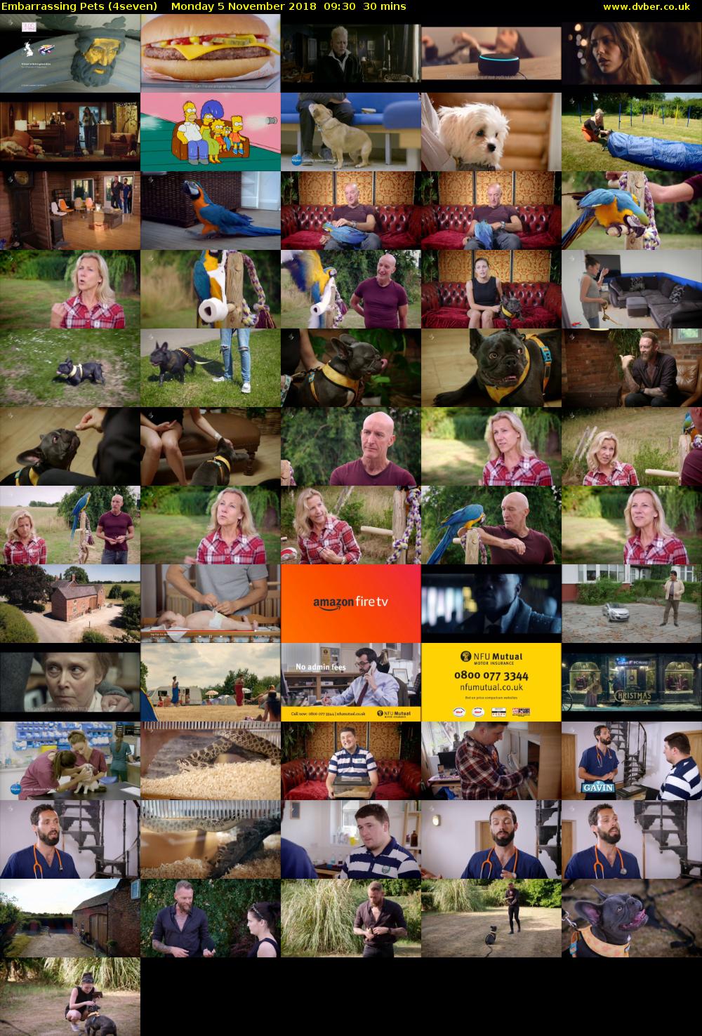 Embarrassing Pets (4seven) Monday 5 November 2018 09:30 - 10:00