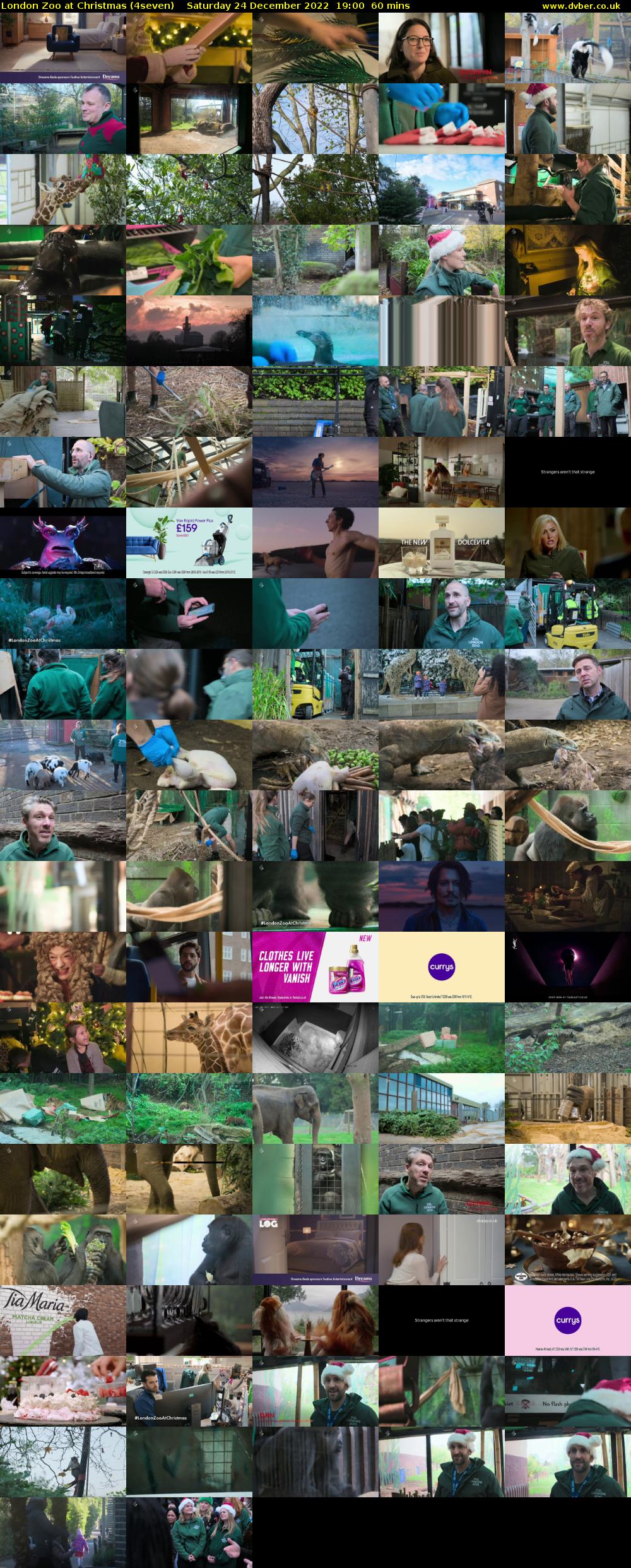 London Zoo at Christmas (4seven) Saturday 24 December 2022 19:00 - 20:00