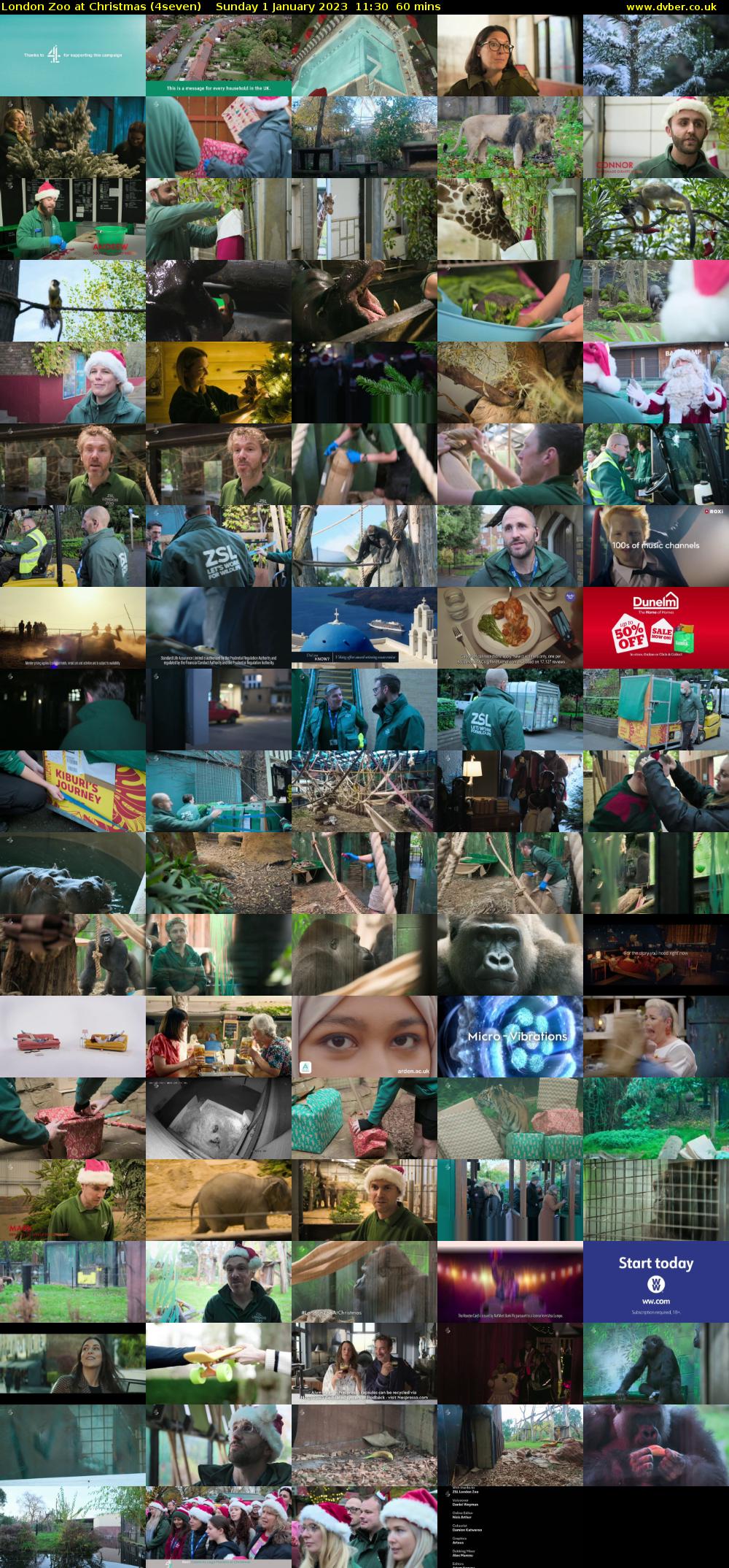 London Zoo at Christmas (4seven) Sunday 1 January 2023 11:30 - 12:30