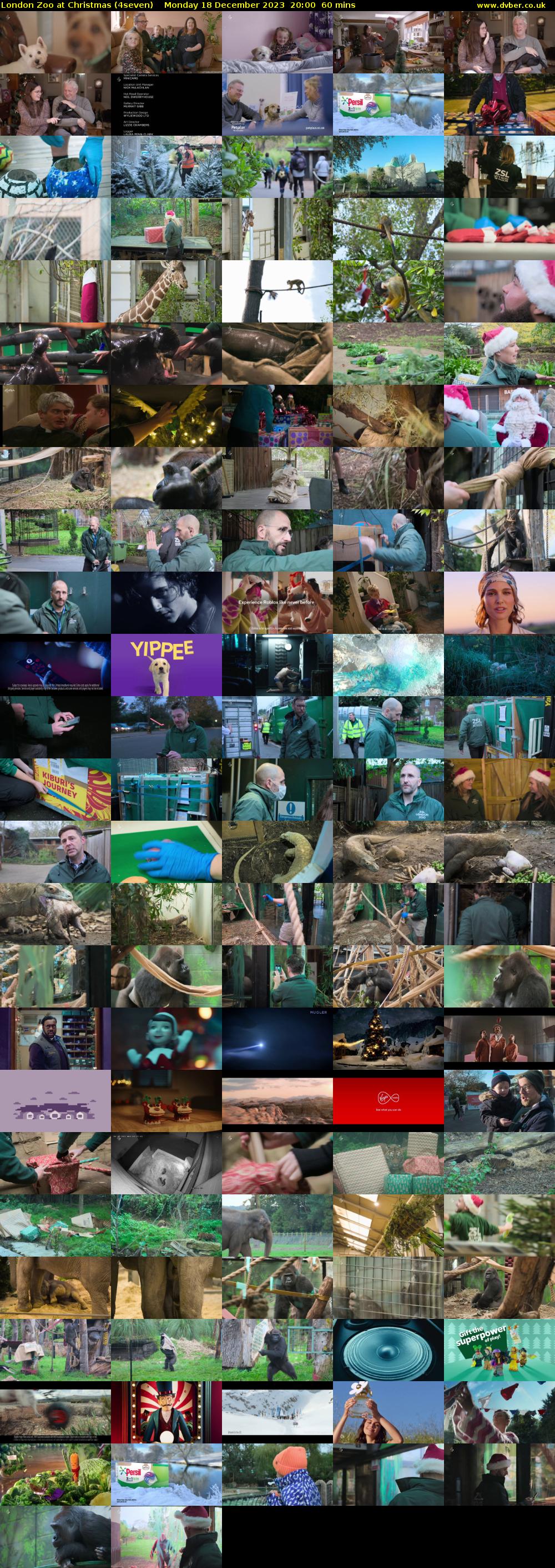 London Zoo at Christmas (4seven) Monday 18 December 2023 20:00 - 21:00