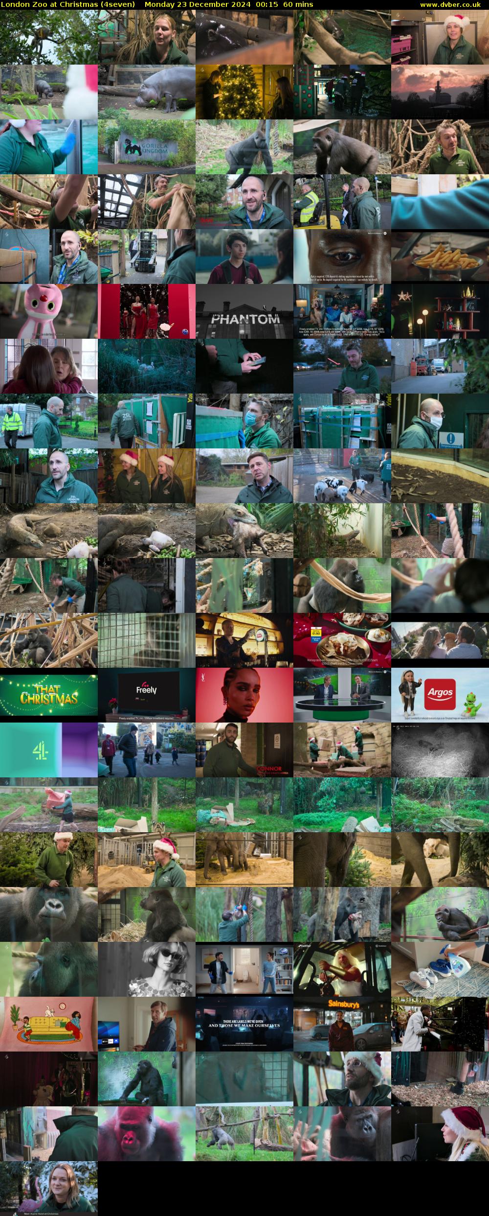 London Zoo at Christmas (4seven) Monday 23 December 2024 00:15 - 01:15
