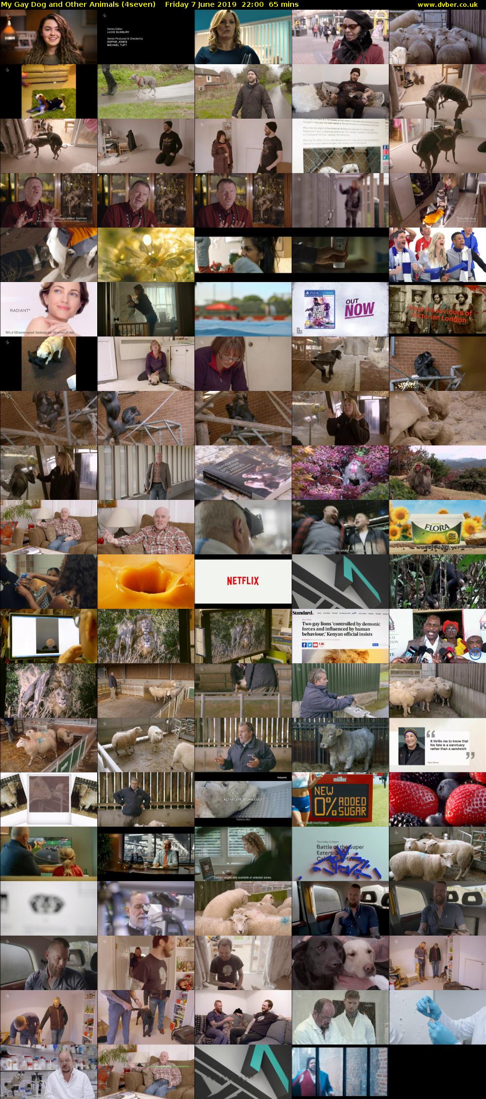My Gay Dog and Other Animals (4seven) Friday 7 June 2019 22:00 - 23:05