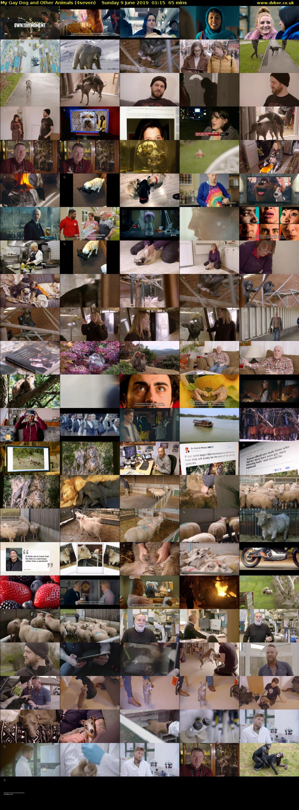 My Gay Dog and Other Animals (4seven) Sunday 9 June 2019 01:15 - 02:20