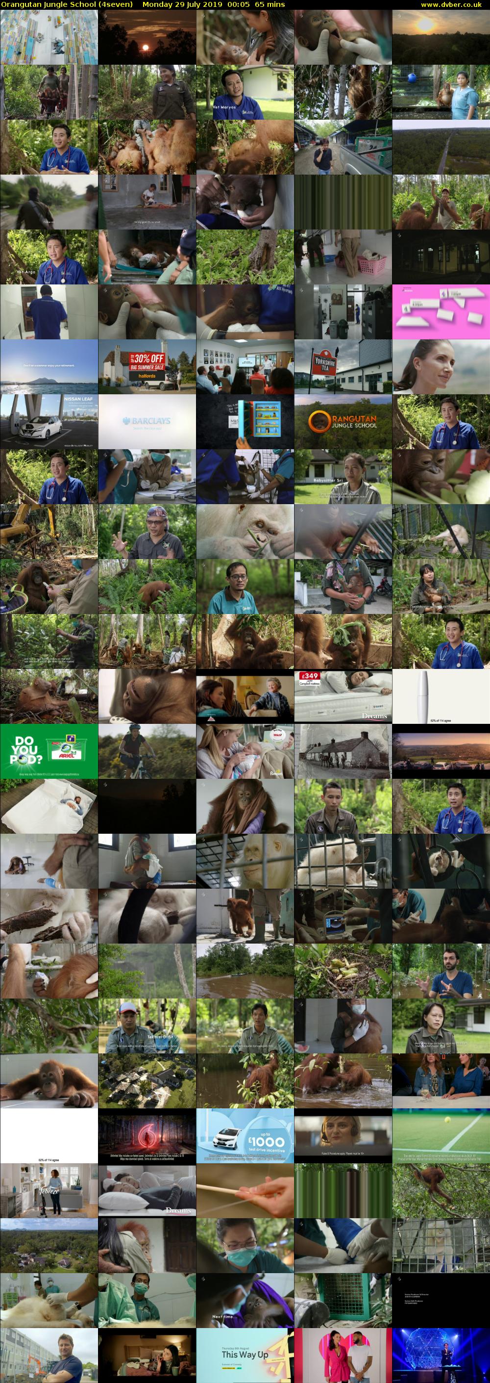 Orangutan Jungle School (4seven) Monday 29 July 2019 00:05 - 01:10