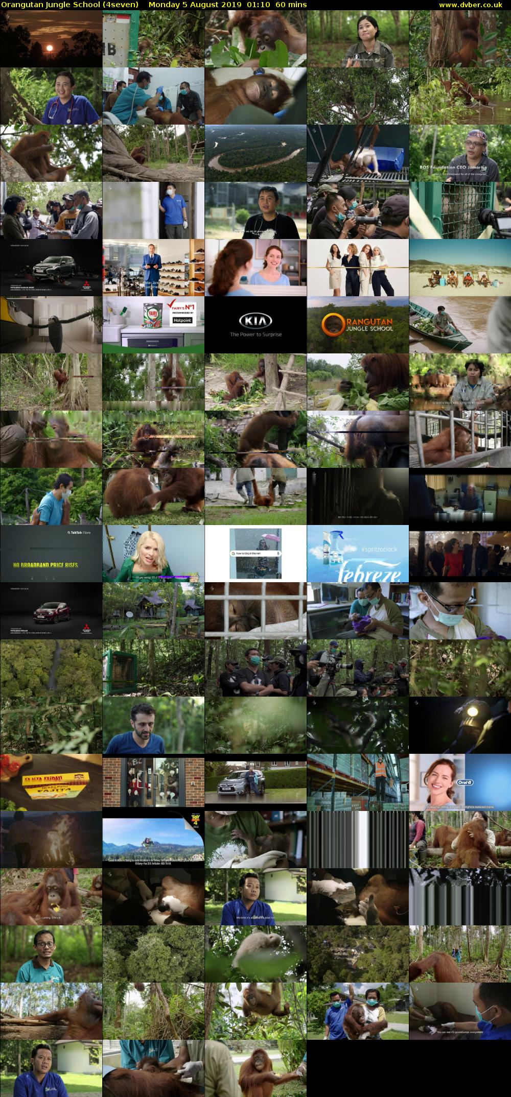 Orangutan Jungle School (4seven) Monday 5 August 2019 01:10 - 02:10