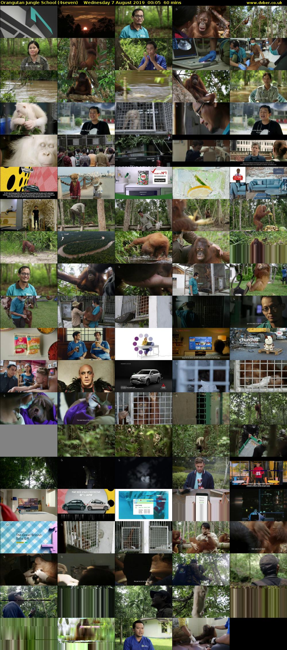 Orangutan Jungle School (4seven) Wednesday 7 August 2019 00:05 - 01:05