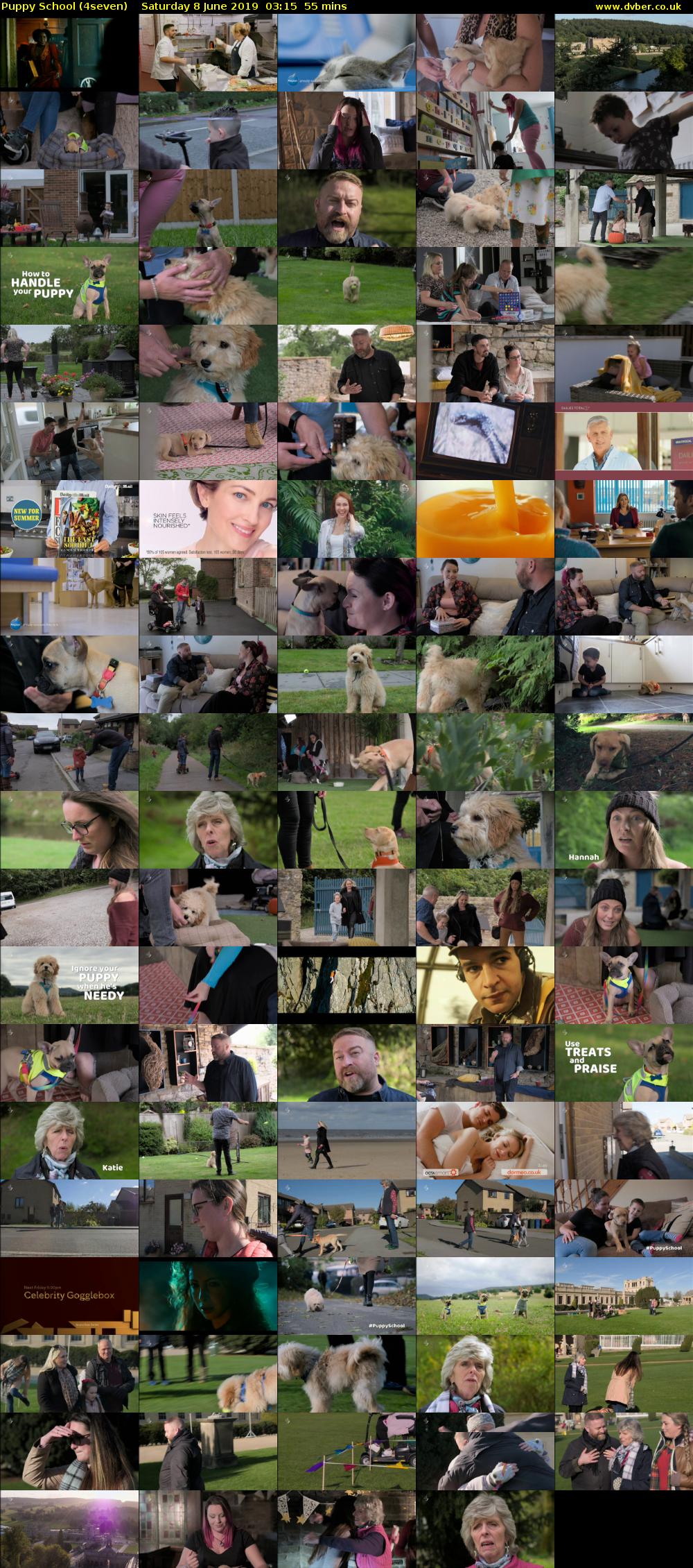 Puppy School (4seven) Saturday 8 June 2019 03:15 - 04:10