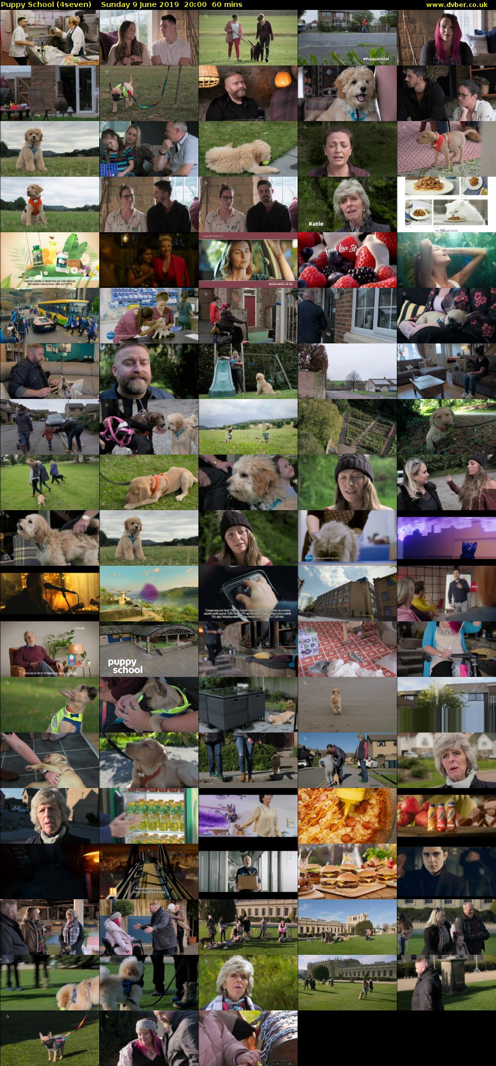 Puppy School (4seven) Sunday 9 June 2019 20:00 - 21:00