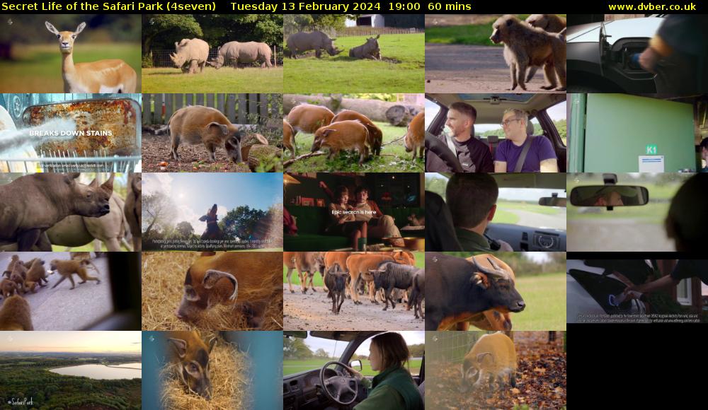Secret Life of the Safari Park (4seven) Tuesday 13 February 2024 19:00 - 20:00