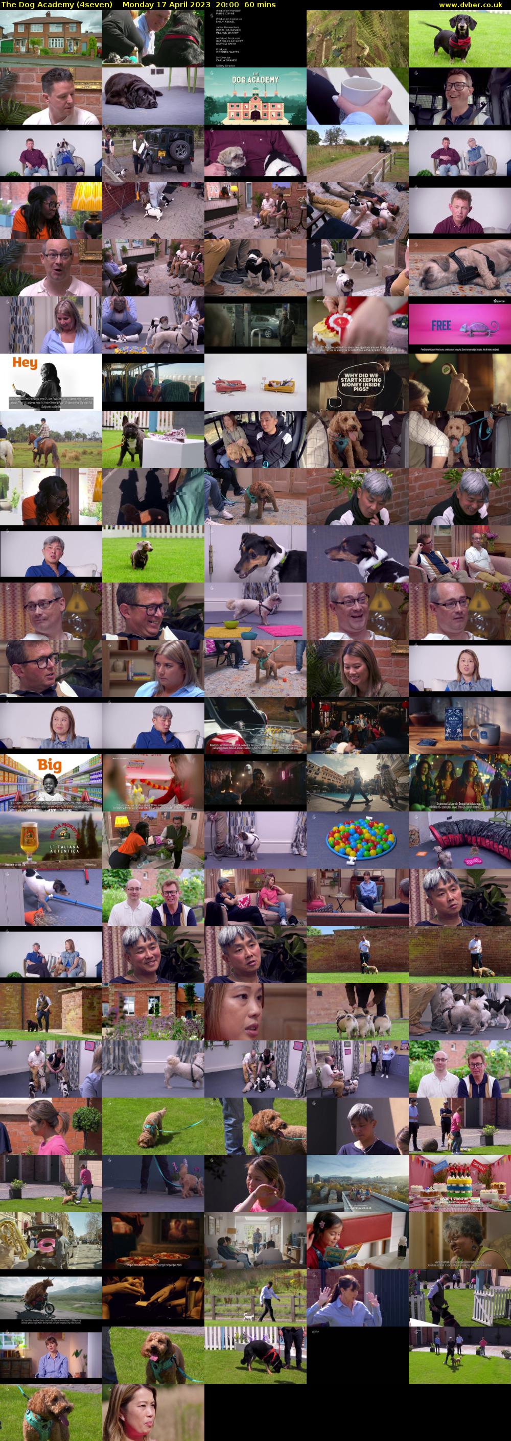 The Dog Academy (4seven) Monday 17 April 2023 20:00 - 21:00