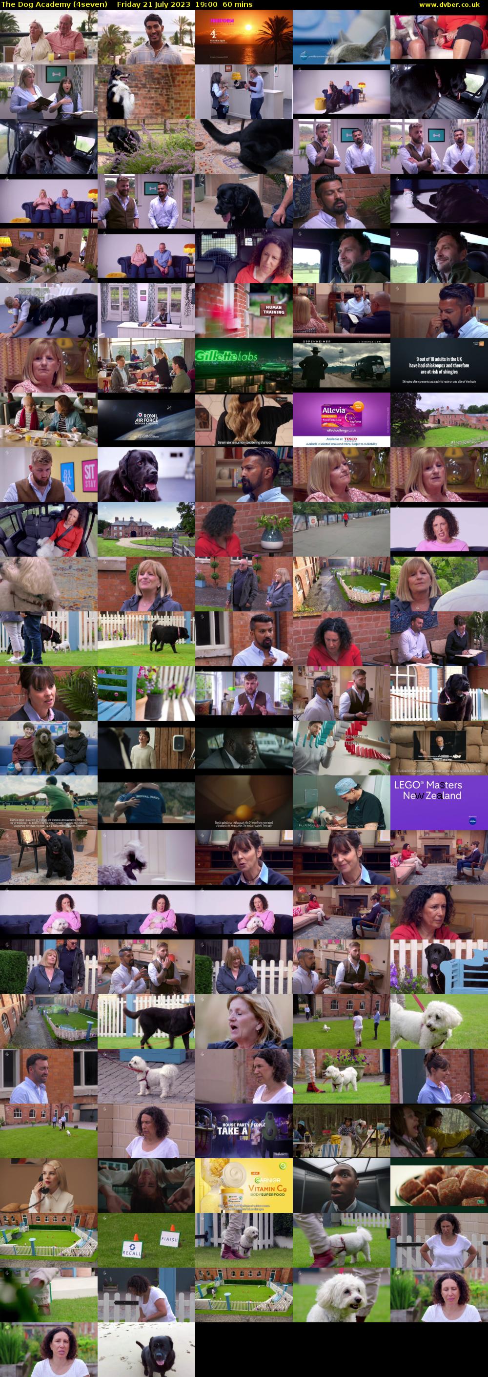 The Dog Academy (4seven) Friday 21 July 2023 19:00 - 20:00