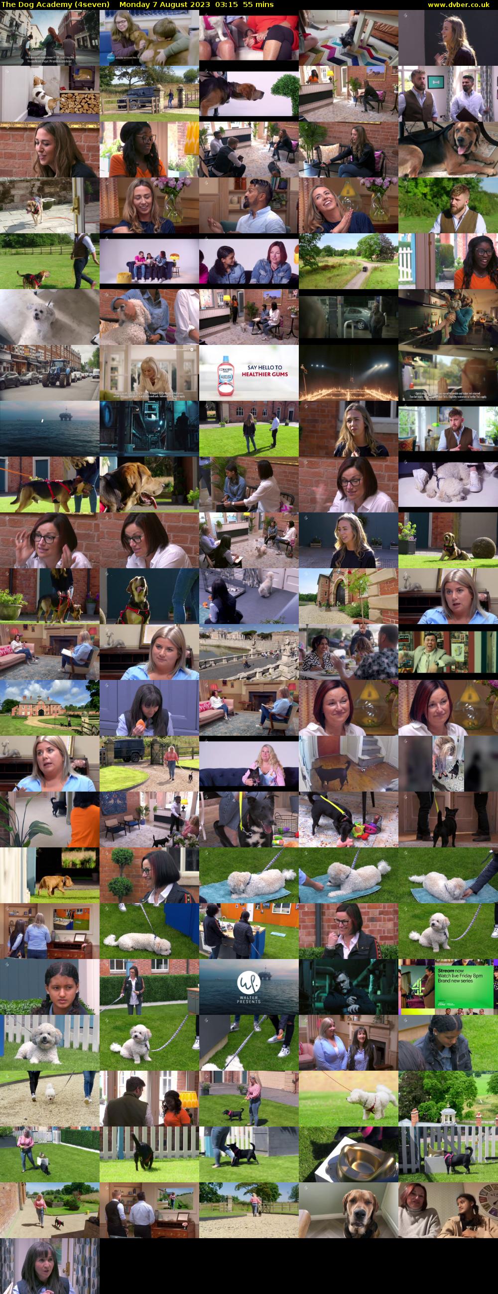 The Dog Academy (4seven) Monday 7 August 2023 03:15 - 04:10