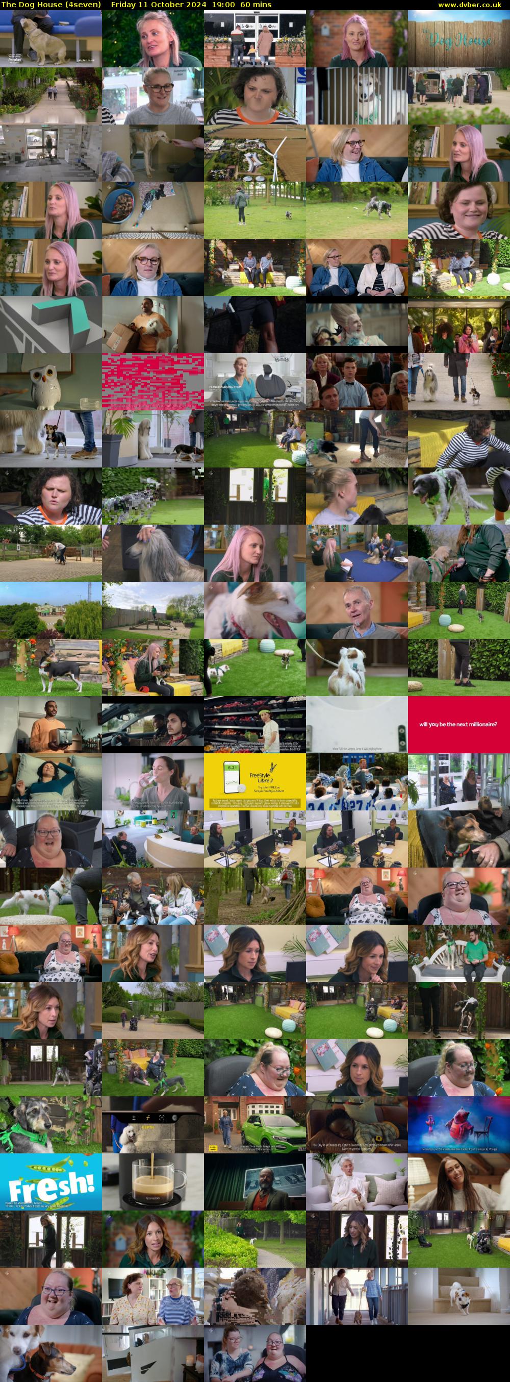 The Dog House (4seven) Friday 11 October 2024 19:00 - 20:00