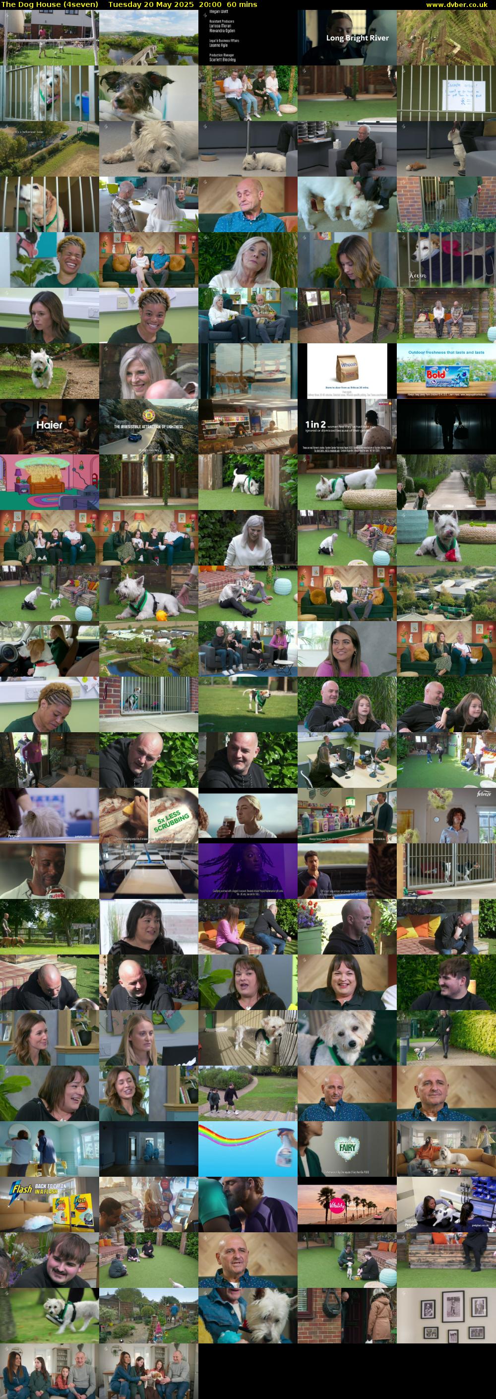 The Dog House (4seven) Tuesday 20 May 2025 20:00 - 21:00